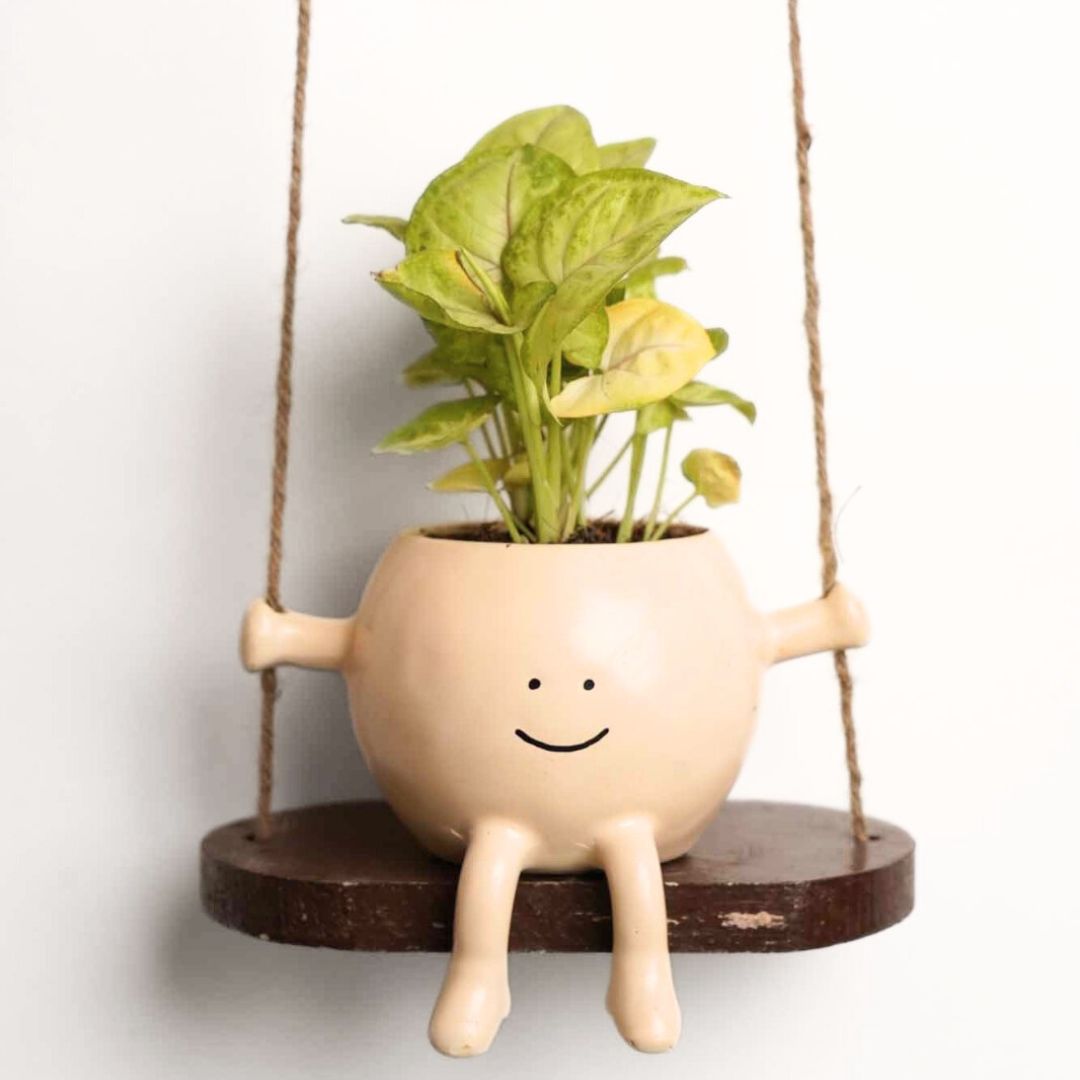 Cutie Patootie Swing Planter