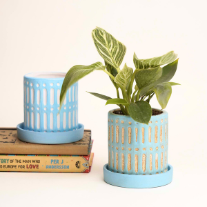 Heaven Blue Planter