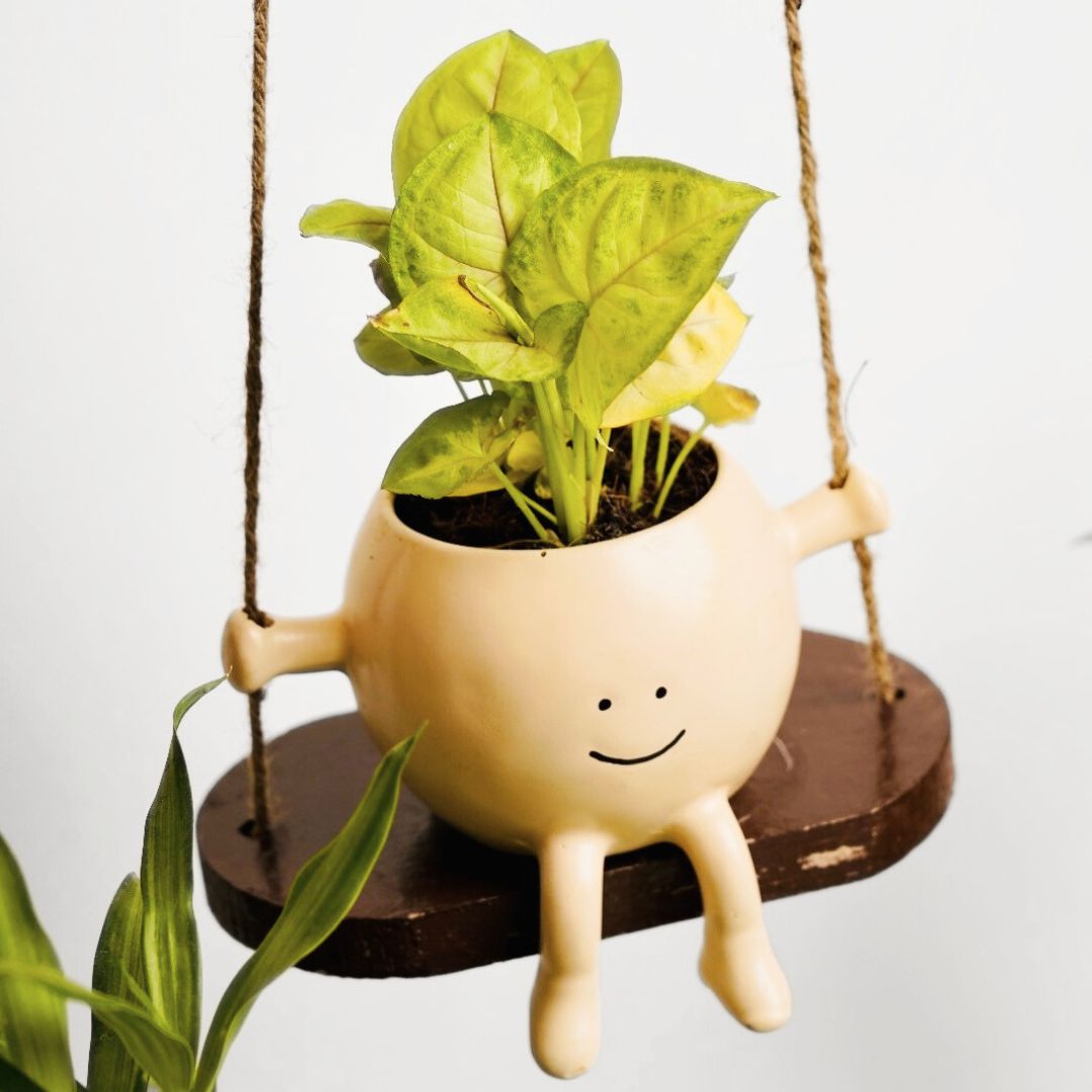 Cutie Patootie Swing Planter