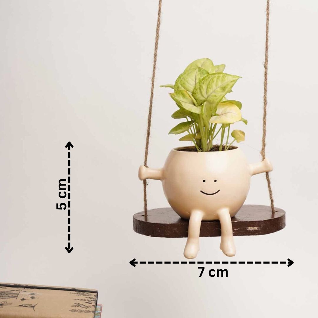 Cutie Patootie Swing Planter