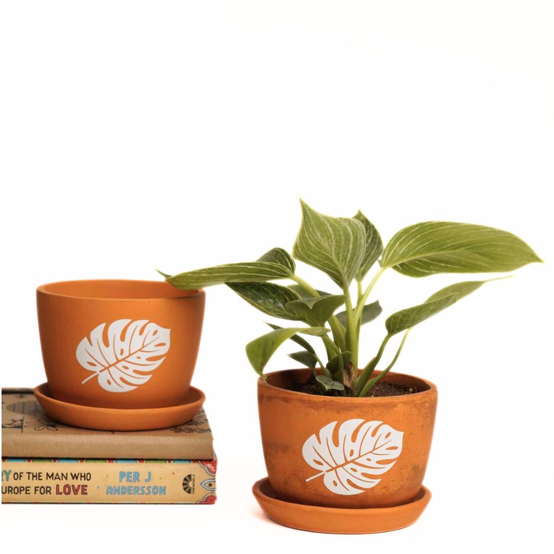 Rustique Leaf Planter